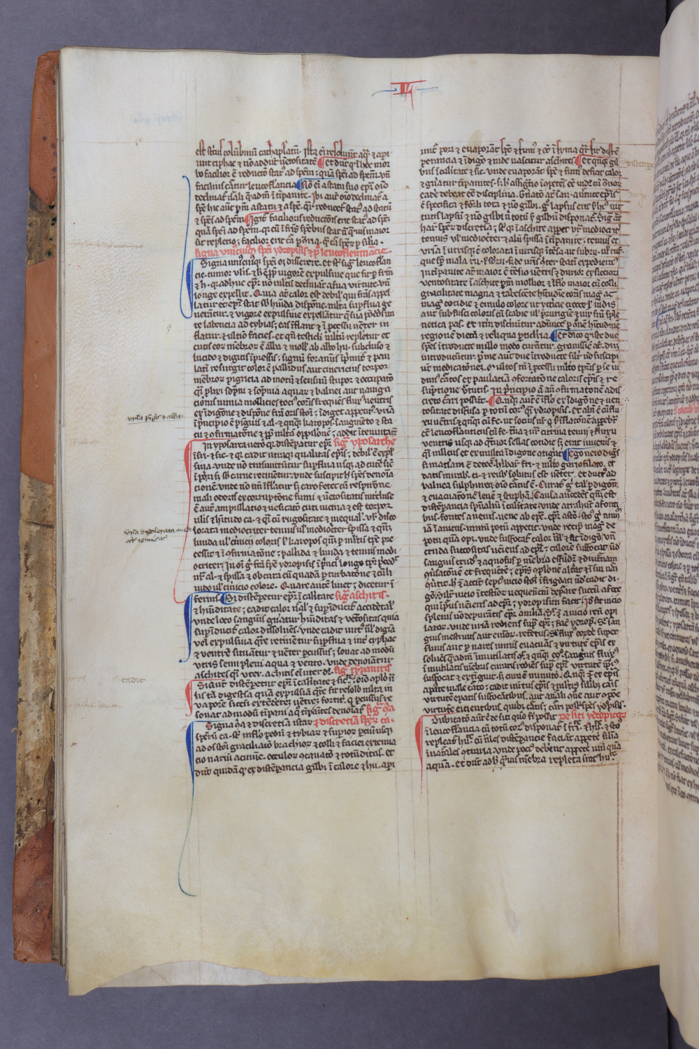 Folio 116 verso